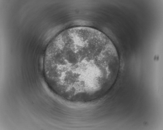 X0000113960014200910232039