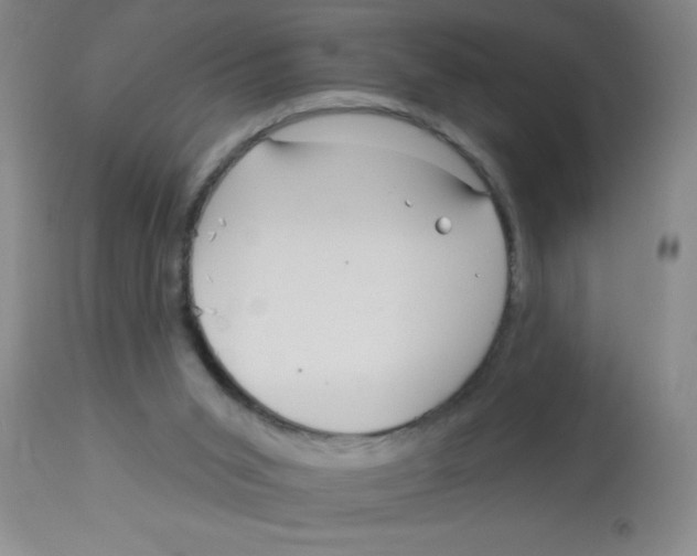 X0000113960015200910232039