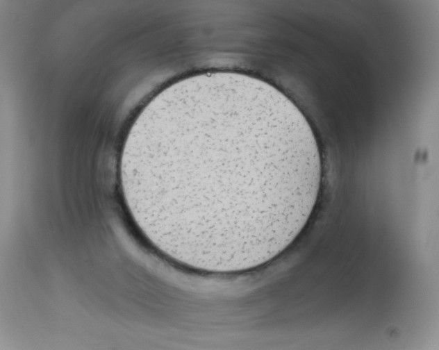 X0000113960016200910232039