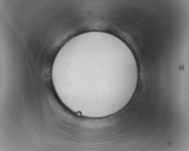 X0000113960017200910232039