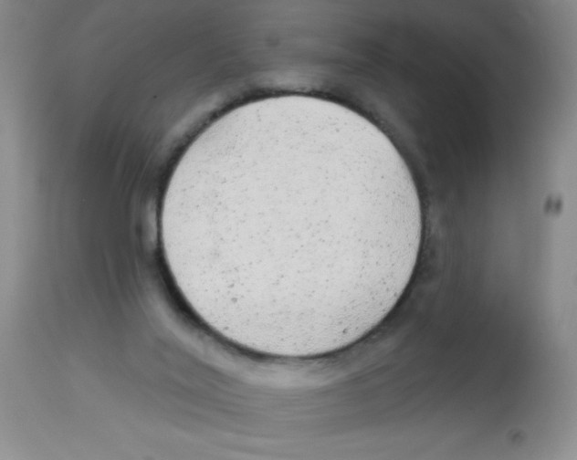 X0000113960020200910232039