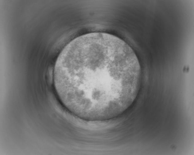 X0000113960022200910232039