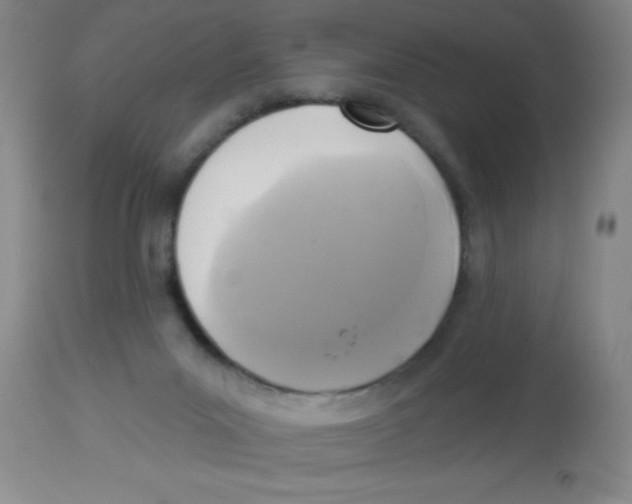X0000113960023200910232039
