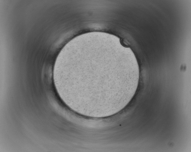 X0000113960024200910232039