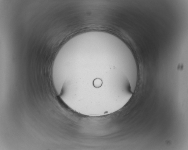 X0000113960025200910232039