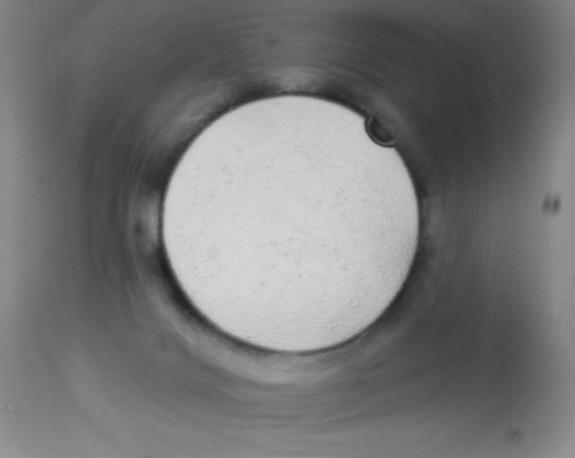 X0000113960028200910232039