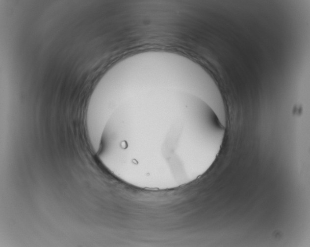 X0000113960029200910232039