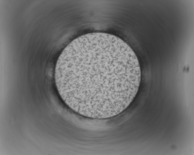 X0000113960032200910232039