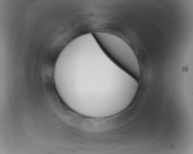 X0000113960033200910232039