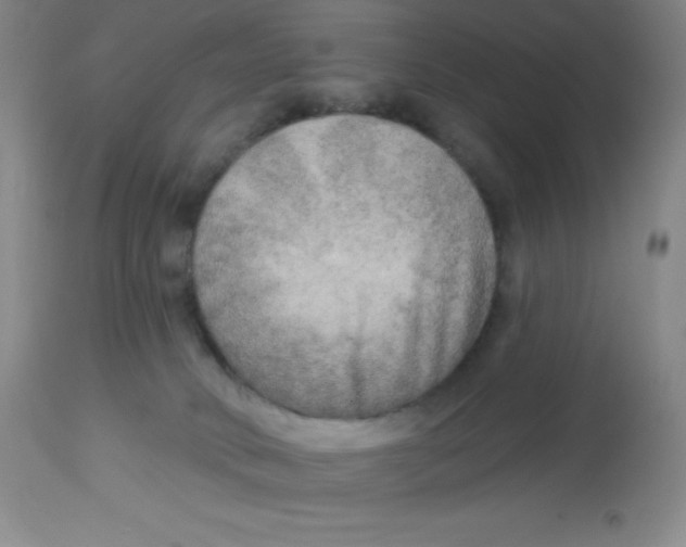 X0000113960034200910232039