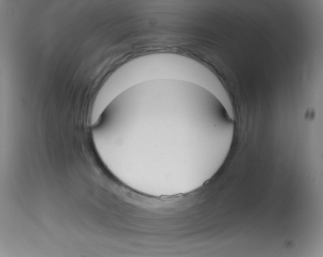 X0000113960035200910232039