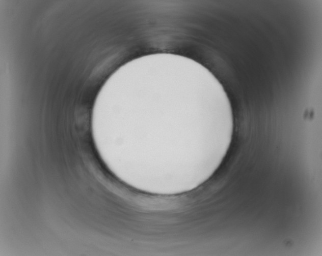 X0000113960036200910232039