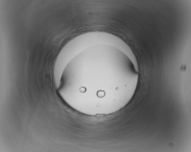 X0000113960037200910232039