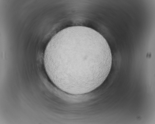 X0000113960038200910232039