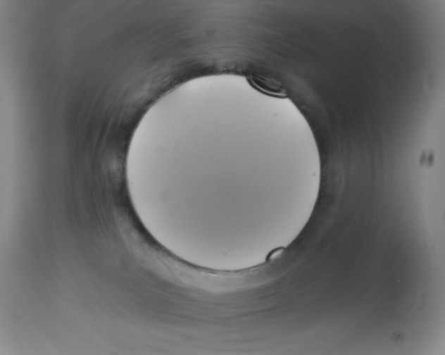 X0000113960039200910232039