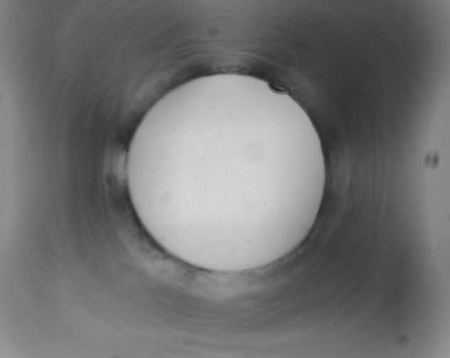 X0000113960041200910232039