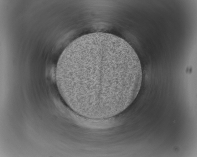 X0000113960042200910232039