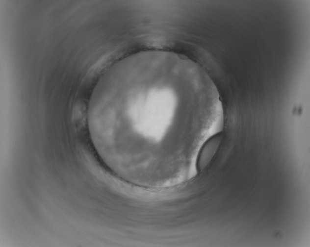 X0000113960043200910232039