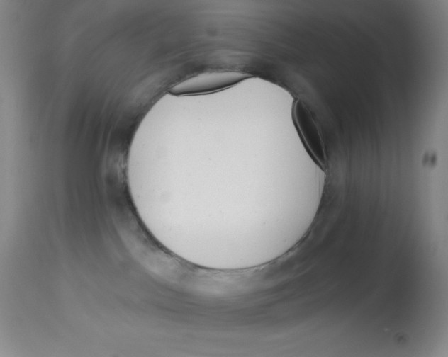 X0000113960045200910232039