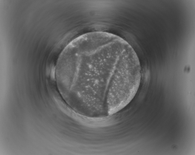 X0000113960046200910232039