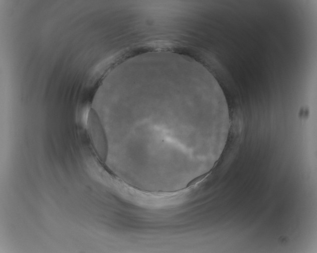 X0000113960047200910232039