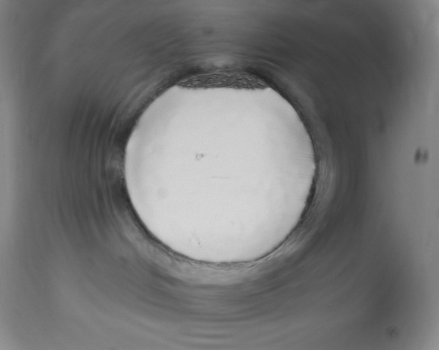 X0000113960048200910232038