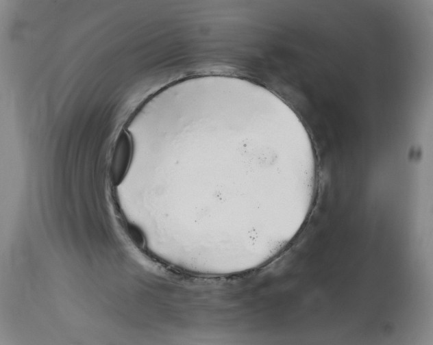 X0000113960049200910232038