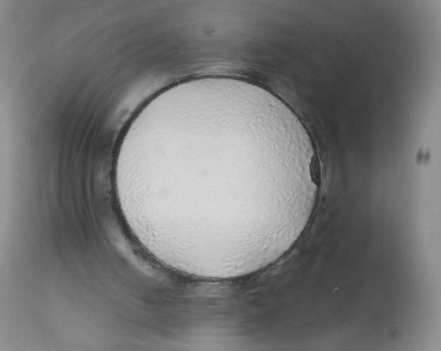 X0000113960050200910232038