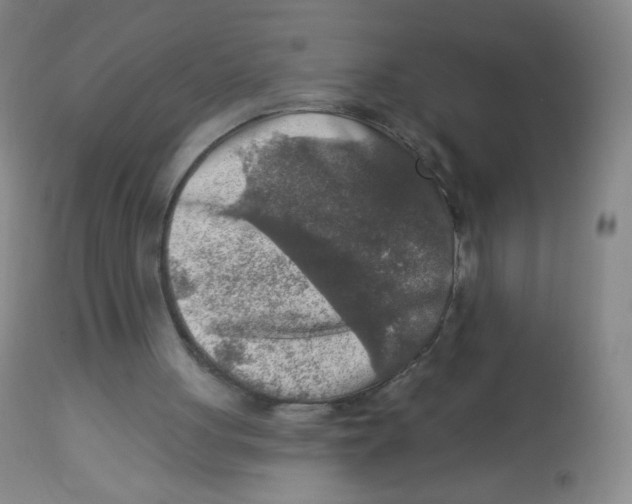 X0000113960051200910232038