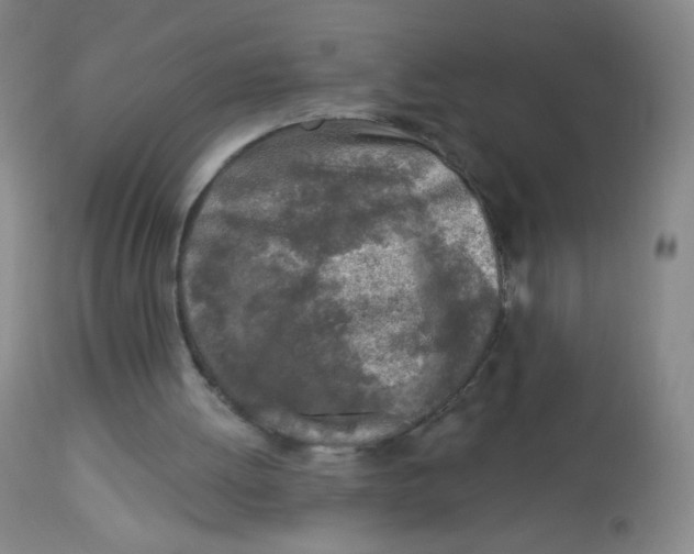 X0000113960052200910232038