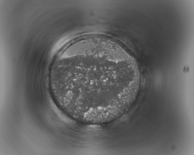 X0000113960053200910232038