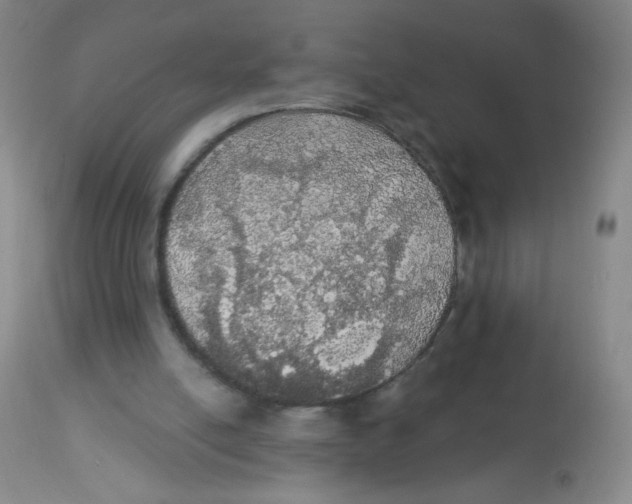 X0000113960054200910232038