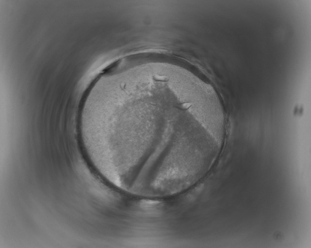 X0000113960055200910232038
