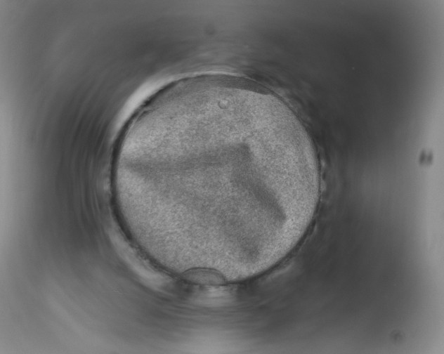 X0000113960056200910232038