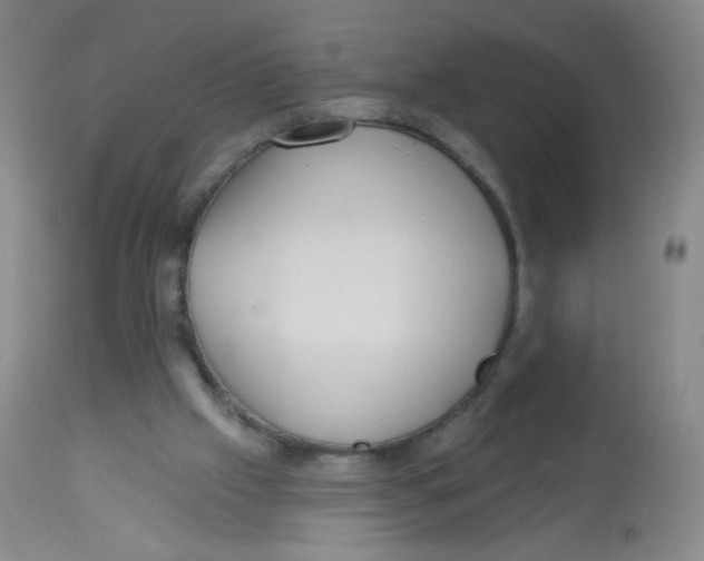X0000113960057200910232038