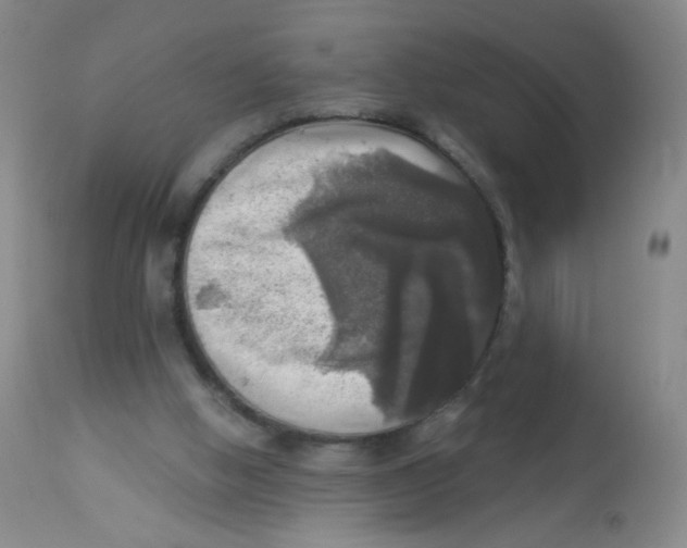 X0000113960058200910232038