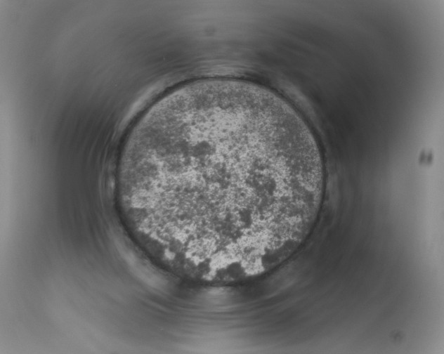 X0000113960059200910232038