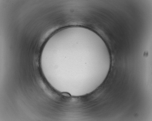 X0000113960060200910232038