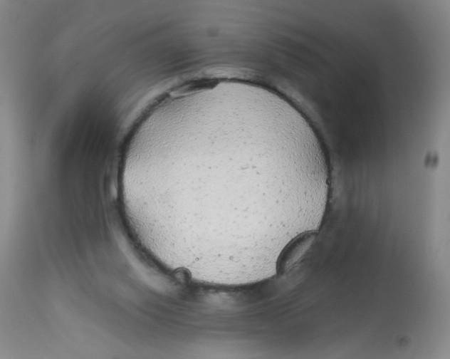 X0000113960062200910232038