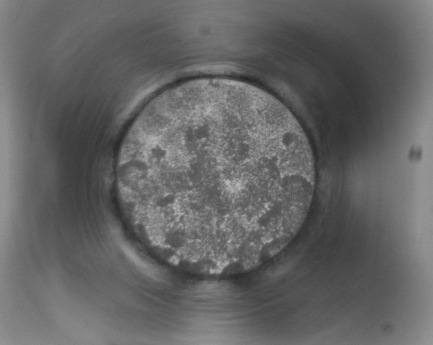 X0000113960063200910232038