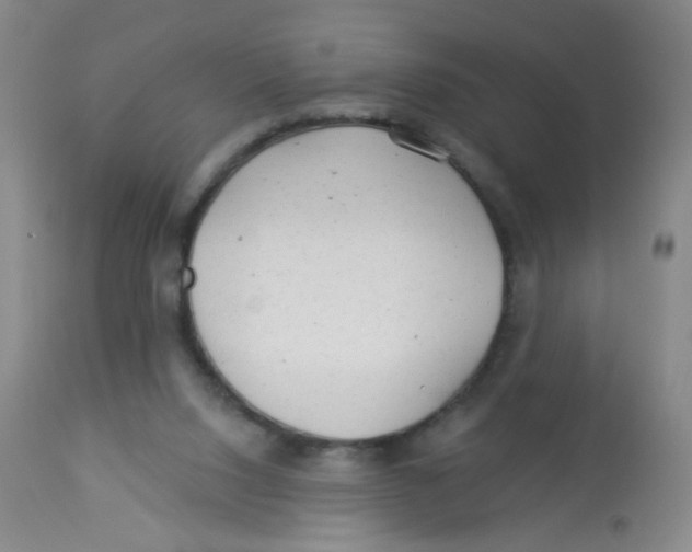 X0000113960064200910232038
