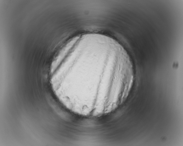 X0000113960065200910232038