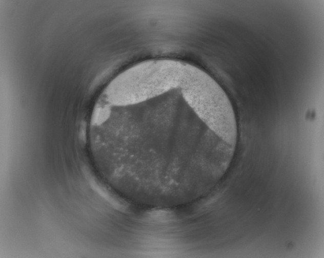 X0000113960067200910232038