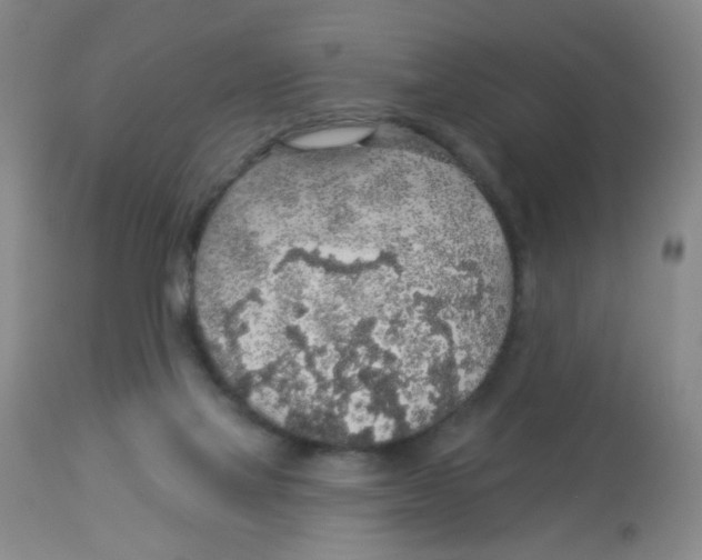X0000113960069200910232038