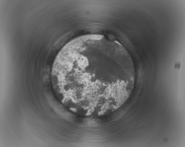 X0000113960073200910232038