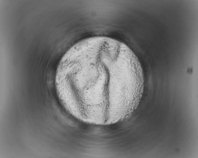 X0000113960074200910232038