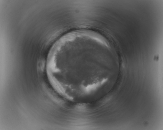 X0000113960076200910232038