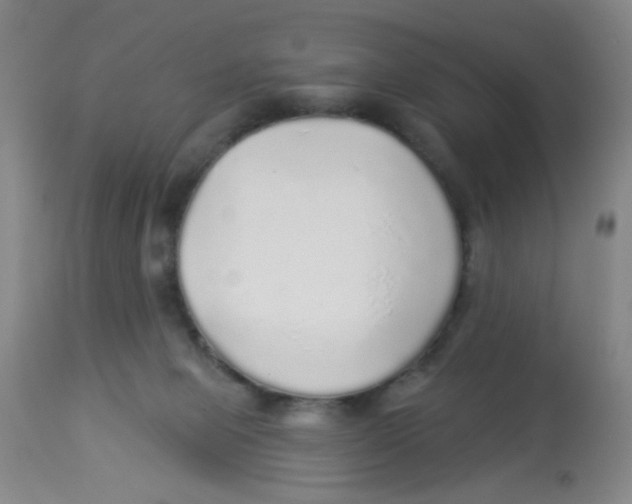 X0000113960077200910232038