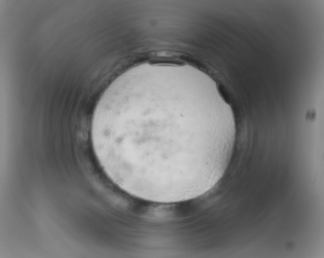 X0000113960078200910232038