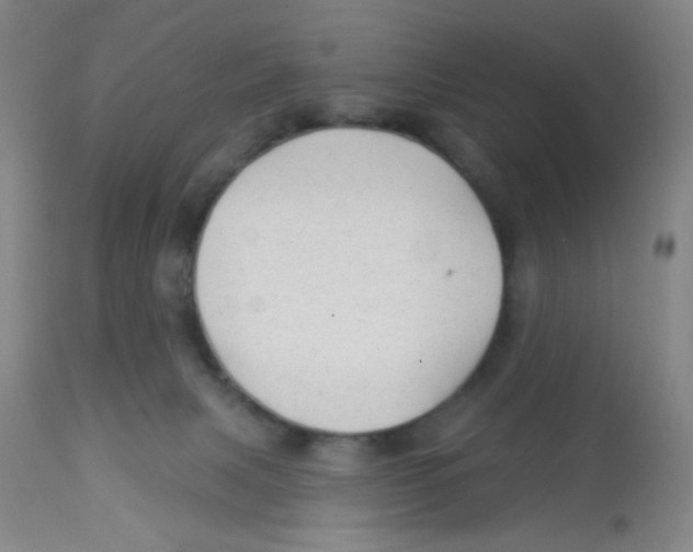 X0000113960079200910232038